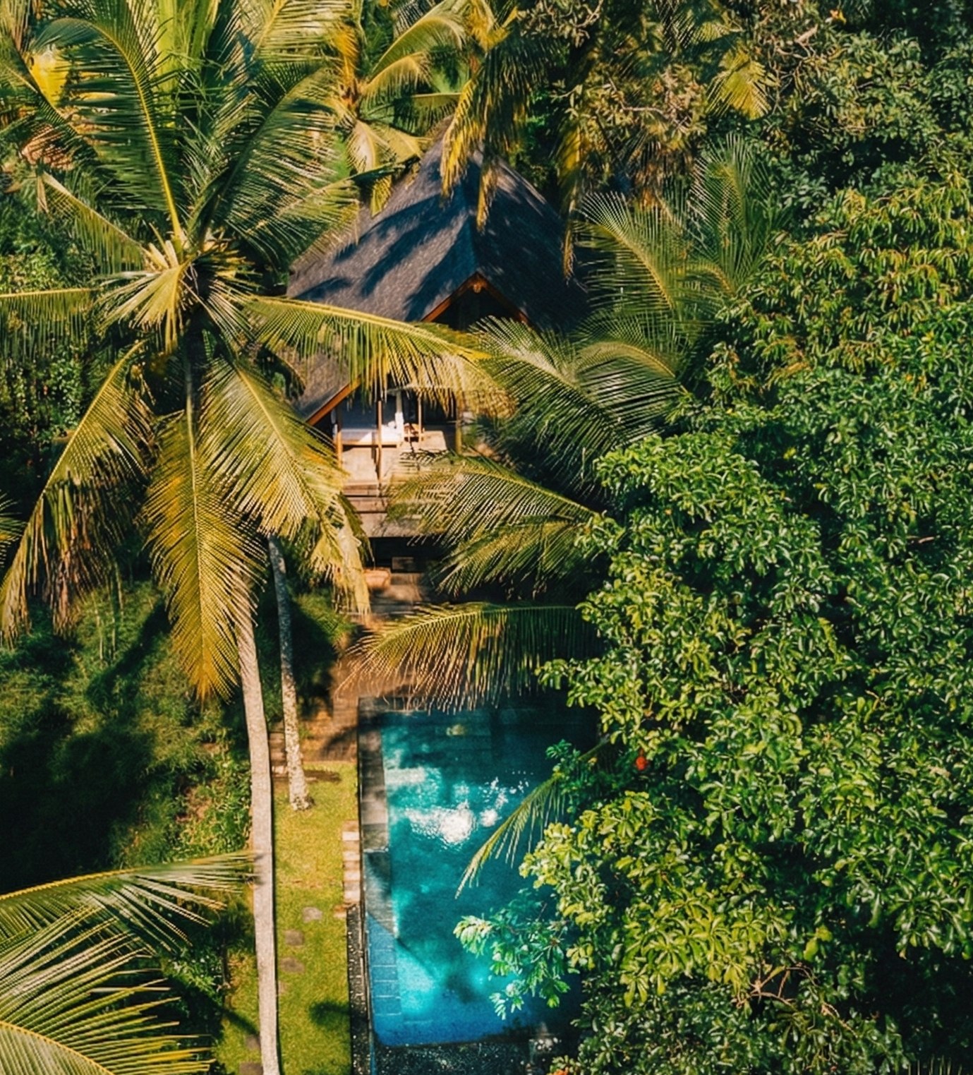 Aerial view of Jungle Escape villa hidden in Ubud tropical canopy