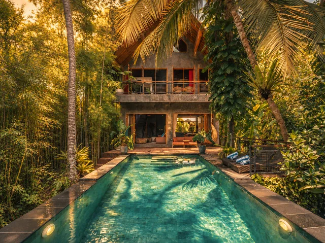 Private pool framed by palms at The Jungle Villa Ubud